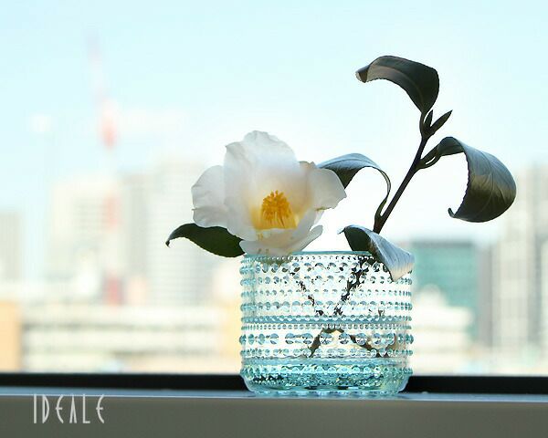 イッタラ（iittala） カステヘルミ/Kastehelmi キャンドルホルダー 64mm ウォータグリーン