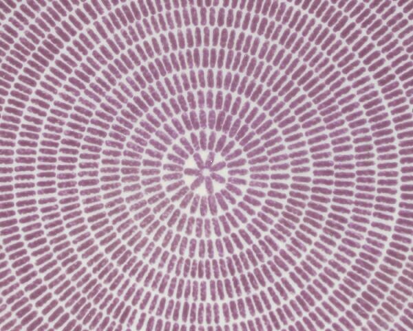 アラビア（ARABIA） アベック/24h Avec プレート 20cm パープル