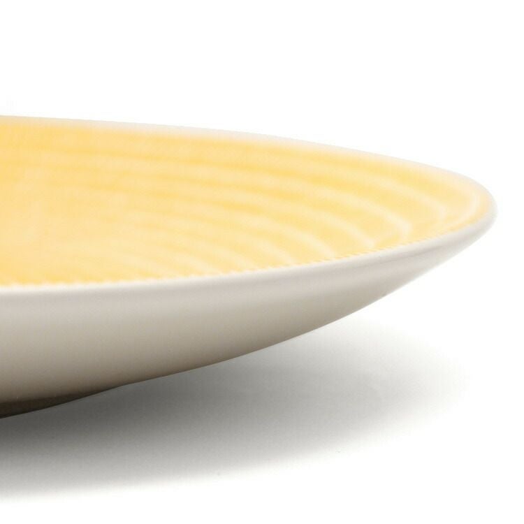 アラビア（ARABIA） アベック/24h Avec プレート 20cm 2枚セット イエロー