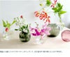 ホルムガード（Holmegaard） プリムラ/PRIMULA オーバルベース 17.5cm スモーク