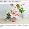 ホルムガード（Holmegaard） プリムラ/PRIMULA オーバルベース 17.5cm スモーク