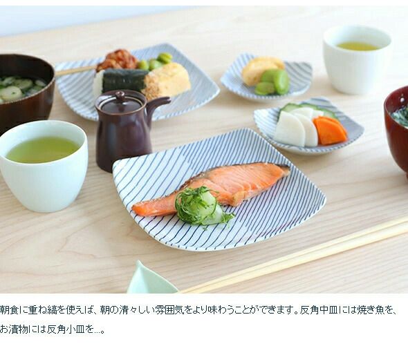 白山陶器 反角中皿 16.5cm ホワイト/ブルー