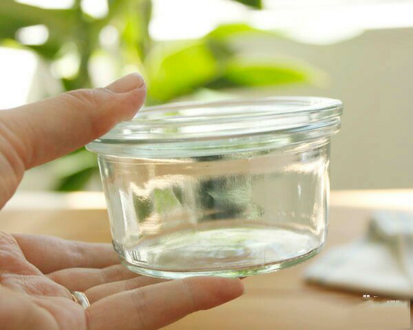 ウェック（WECK） モールド/Mold プラスティックカバー付モールドシェイプ165mlx6個セット