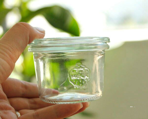 ウェック（WECK） モールド/Mold プラスティックカバー付モールドシェイプ80mlx6個セット