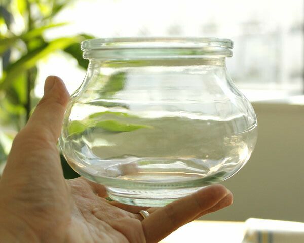 ウェック（WECK） デコ/Deco デコシェイプ 550mlx6個セット