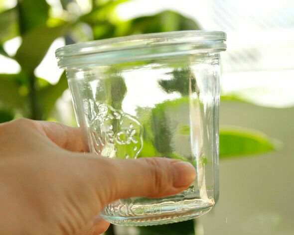 ウェック（WECK） モールド/Mold パッキン&クリップ付モールドシェイプ 290mlx6個セット