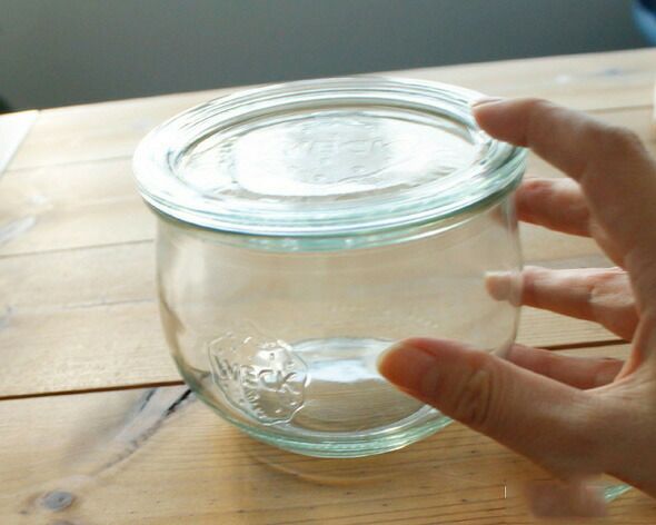 ウェック（WECK） チューリップ/Tulip パッキン&クリップ付チューリップシェイプ 500mlx6個セット