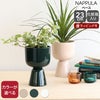 イッタラ（iittala） ナップラ/NAPPULA プラントポット 230x155mm