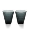 イッタラ（iittala） カステヘルミ/Kastehelmi タンブラー ペア 300ml ダークグレー