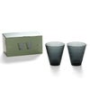 イッタラ（iittala） カステヘルミ/Kastehelmi タンブラー ペア 300ml ダークグレー