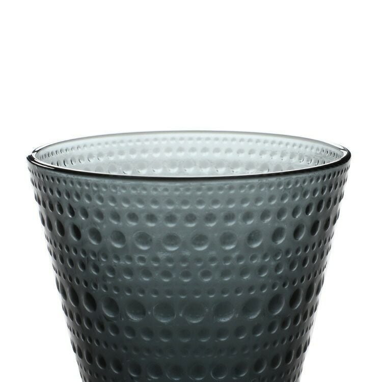 イッタラ（iittala） カステヘルミ/Kastehelmi タンブラー ペア 300ml ダークグレー