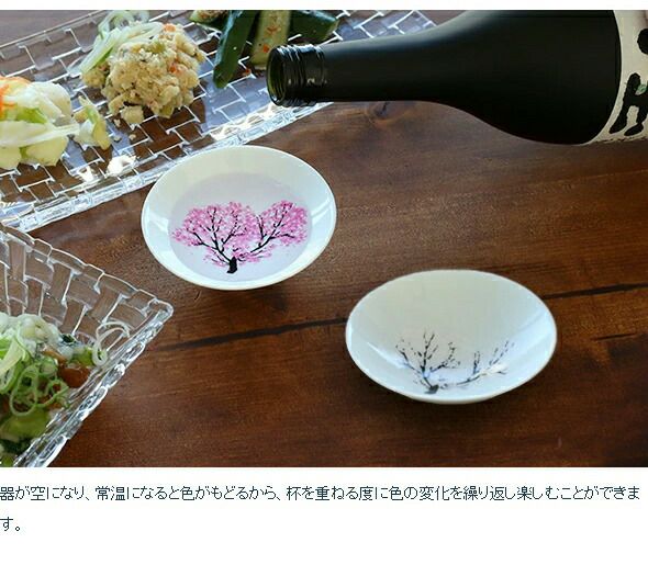 丸モ高木陶器 冷感 平盃 4点セット ホワイト