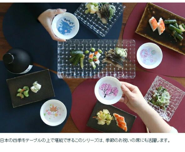 丸モ高木陶器 冷感 平盃 4点セット ホワイト