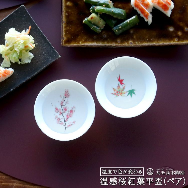 丸モ高木陶器 温感 平盃 ペア ホワイト