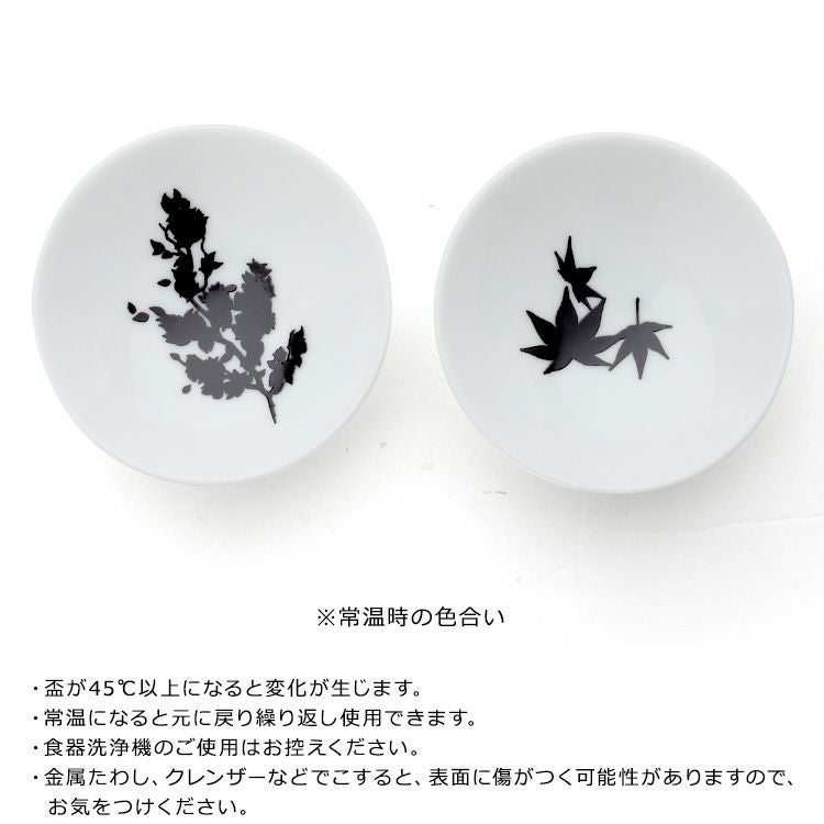 丸モ高木陶器 温感 平盃 ペア ホワイト