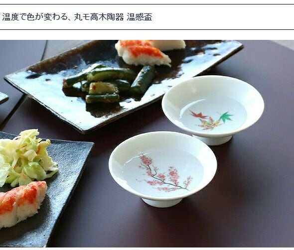 丸モ高木陶器 温感 平盃 ペア ホワイト