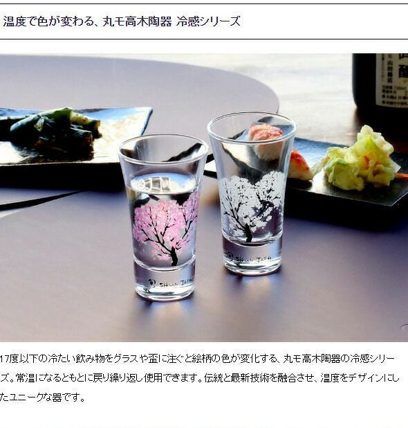 丸モ高木陶器 冷感 平盃 ペア