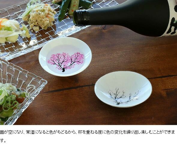丸モ高木陶器 冷感 平盃 ペア