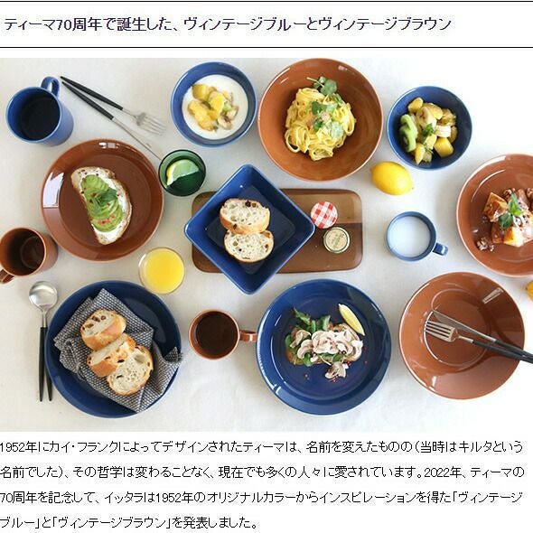 イッタラ（iittala） ティーマ/Teema スクエアプレート 16×16cm ヴィンテージブルー
