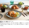 カネサン1893（KANESAN1893） マジョリカ 大皿