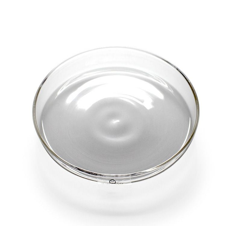 イッケンドルフ ミラノ（ICHENDORF MILANO） ピューマ/PIUMA プレート 10cm