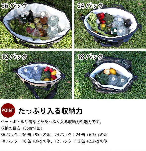 エーオークーラーズ（AO Coolers） キャンバス/CANVAS 36パック ソフトクーラー