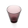 イッタラ（iittala） カステヘルミ/Kastehelmi タンブラー ペア 300ml カルーナ