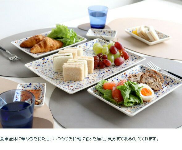 イッタラ（iittala） キュリアス マインド オブ オイバ トイッカ/OTC ヘレ プレート A4 ブルーブラウン