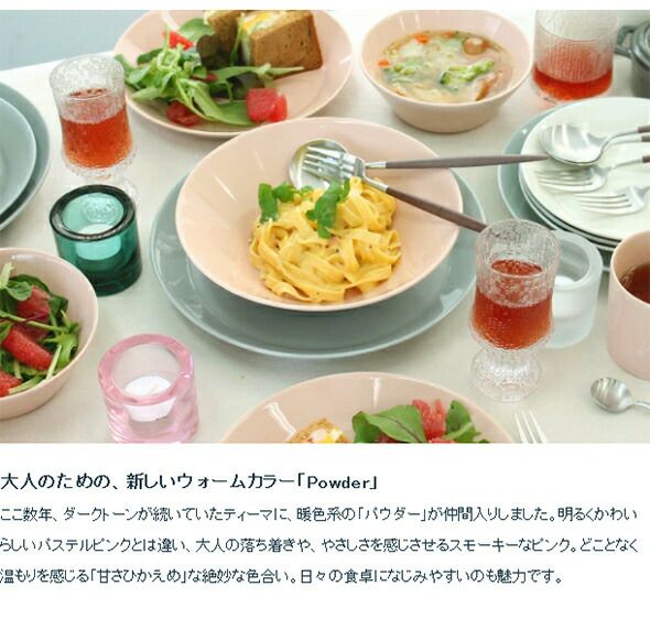 イッタラ（iittala） ティーマ/Teema ボウル 21cm パウダー