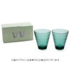 イッタラ（iittala） カステヘルミ/Kastehelmi タンブラー ペア 300ml