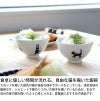 藍花 気まま猫 飯碗