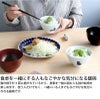 藍花 気まま猫 飯碗