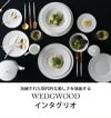 ウェッジウッド（WEDGWOOD） インタグリオ/INTAGLIO クリーマー ホワイト