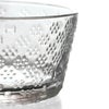 イッタラ（iittala） ツンドラ/Tundra ボウル 250ml