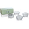 イッタラ（iittala） ツンドラ/Tundra ボウル 250ml 4点セット クリア