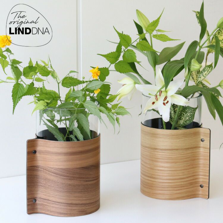 ★★★箱だけ難あり★★★ リンド ディーエヌーエー（LIND DNA） ウッドベース H25cm [hr]