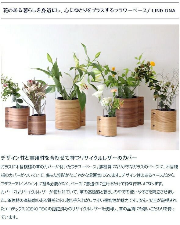 ★★★箱だけ難あり★★★ リンド ディーエヌーエー（LIND DNA） ウッドベース H25cm [hr]
