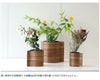★★★箱だけ難あり★★★ リンド ディーエヌーエー（LIND DNA） ウッドベース H25cm [hr]