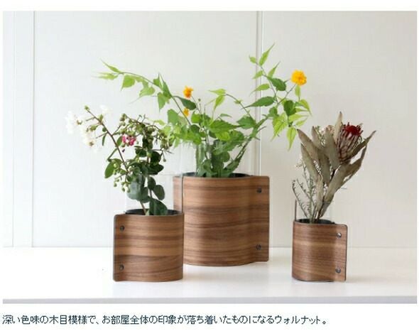 ★★★箱だけ難あり★★★ リンド ディーエヌーエー（LIND DNA） ウッドベース H25cm [hr]
