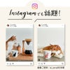 ★★★アウトレット（訳あり）★★★ 丸モ高木陶器 温感マグカップ 猫
