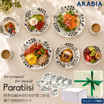 アラビア パラティッシ スターターセット